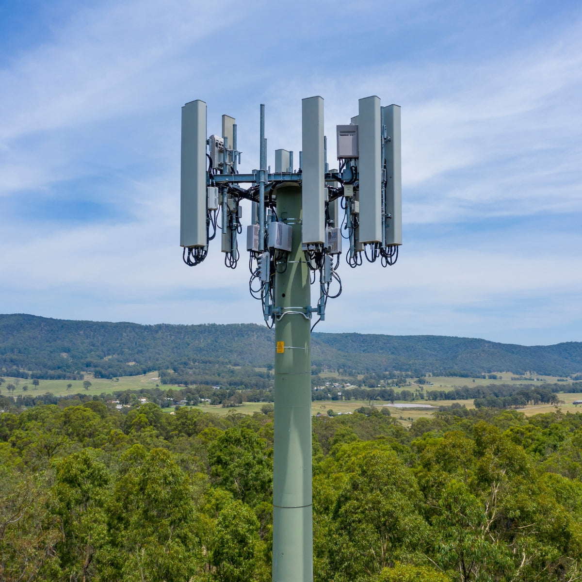 Cellular Tower Survey Reports
